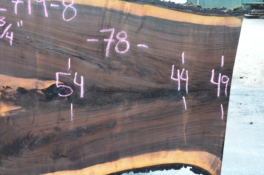 022719-08 Oregon Black Walnut Slab