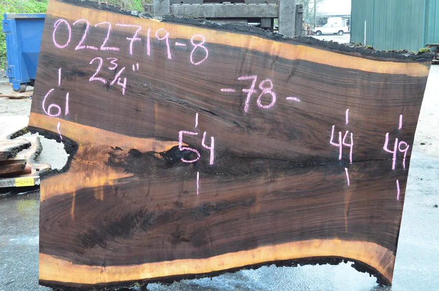 022719-08 Oregon Black Walnut Slab