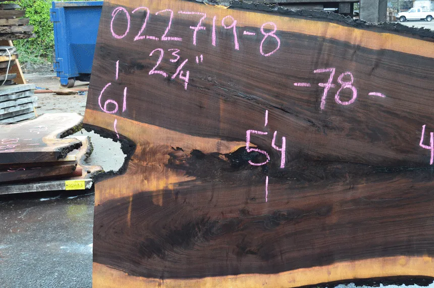 022719-08 Oregon Black Walnut Slab