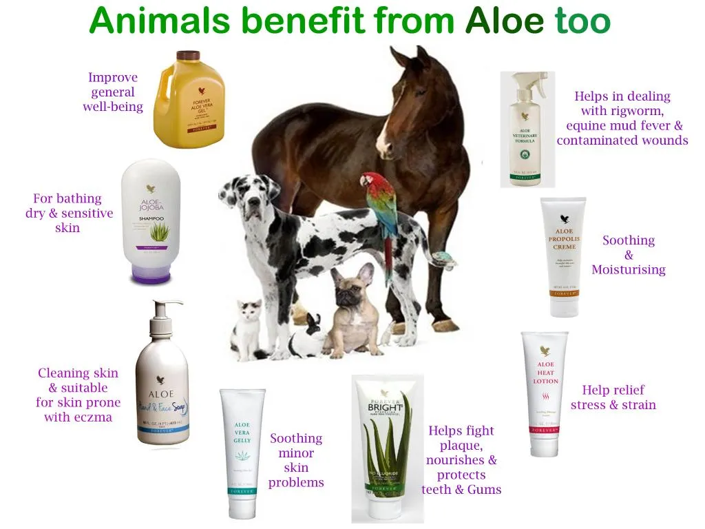 Aloe Sunscreen