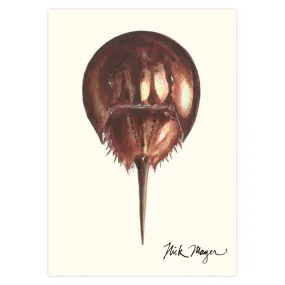 Horseshoe Crab Notecards