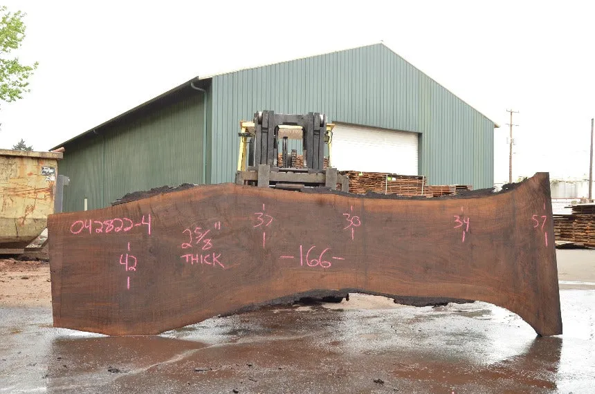 Oregon Black Walnut Slab 042822-04