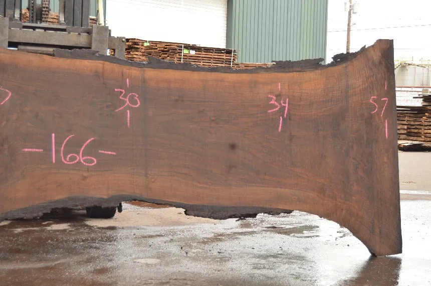 Oregon Black Walnut Slab 042822-04