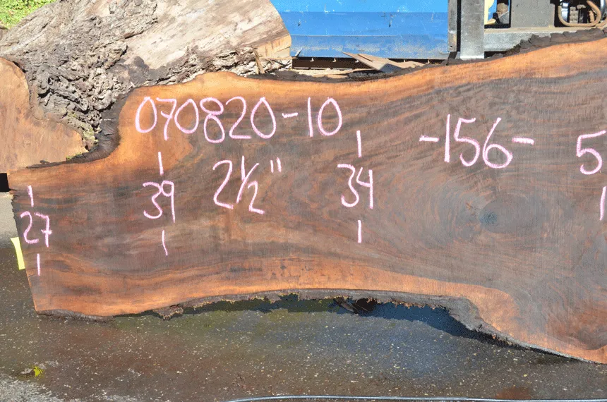 Oregon Black Walnut Slab 070820-10