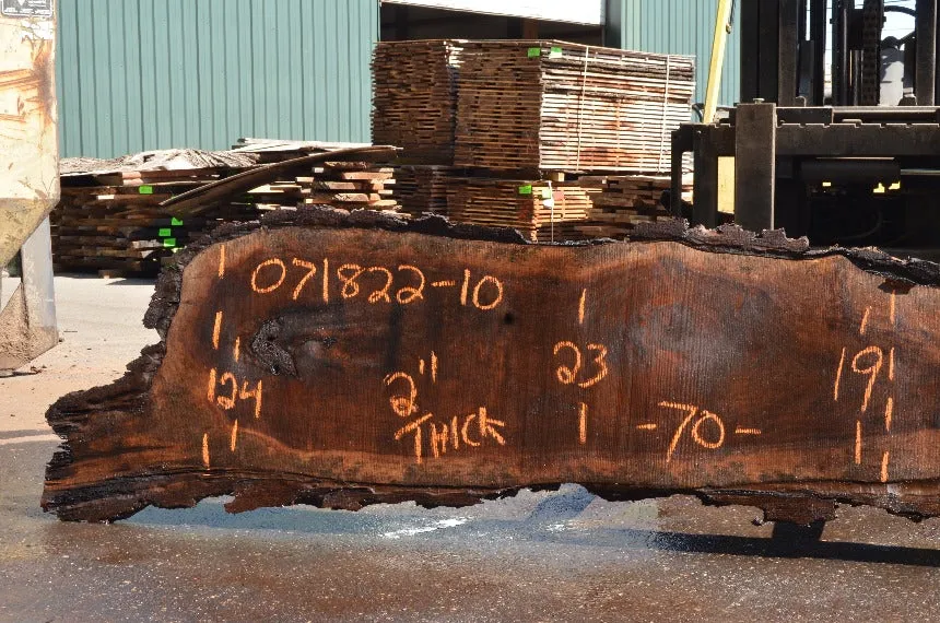 Oregon Black Walnut Slab 071822-10