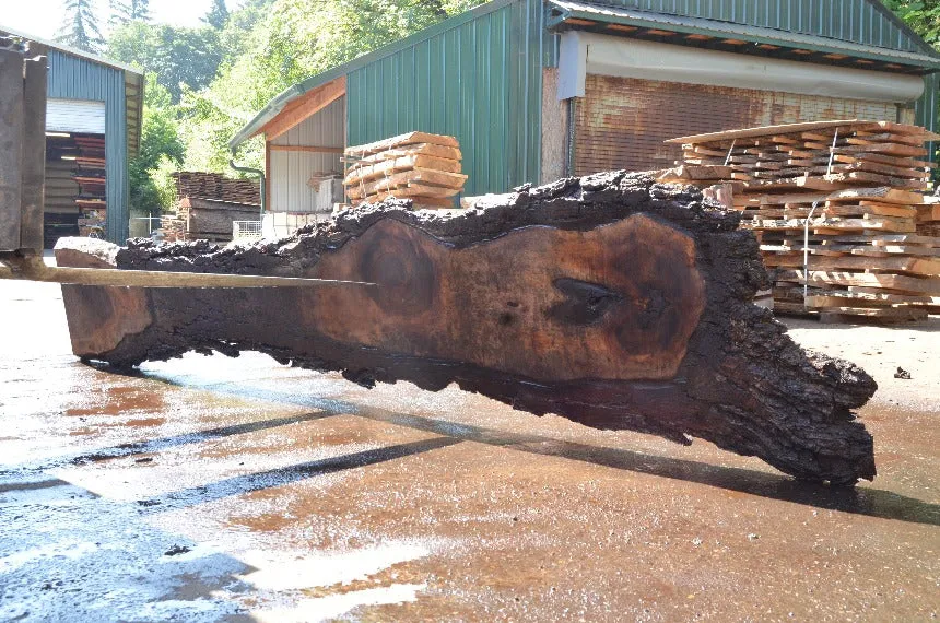 Oregon Black Walnut Slab 071822-10