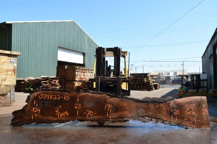 Oregon Black Walnut Slab 071822-10