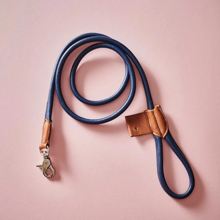 Personalised Leather Dog Lead