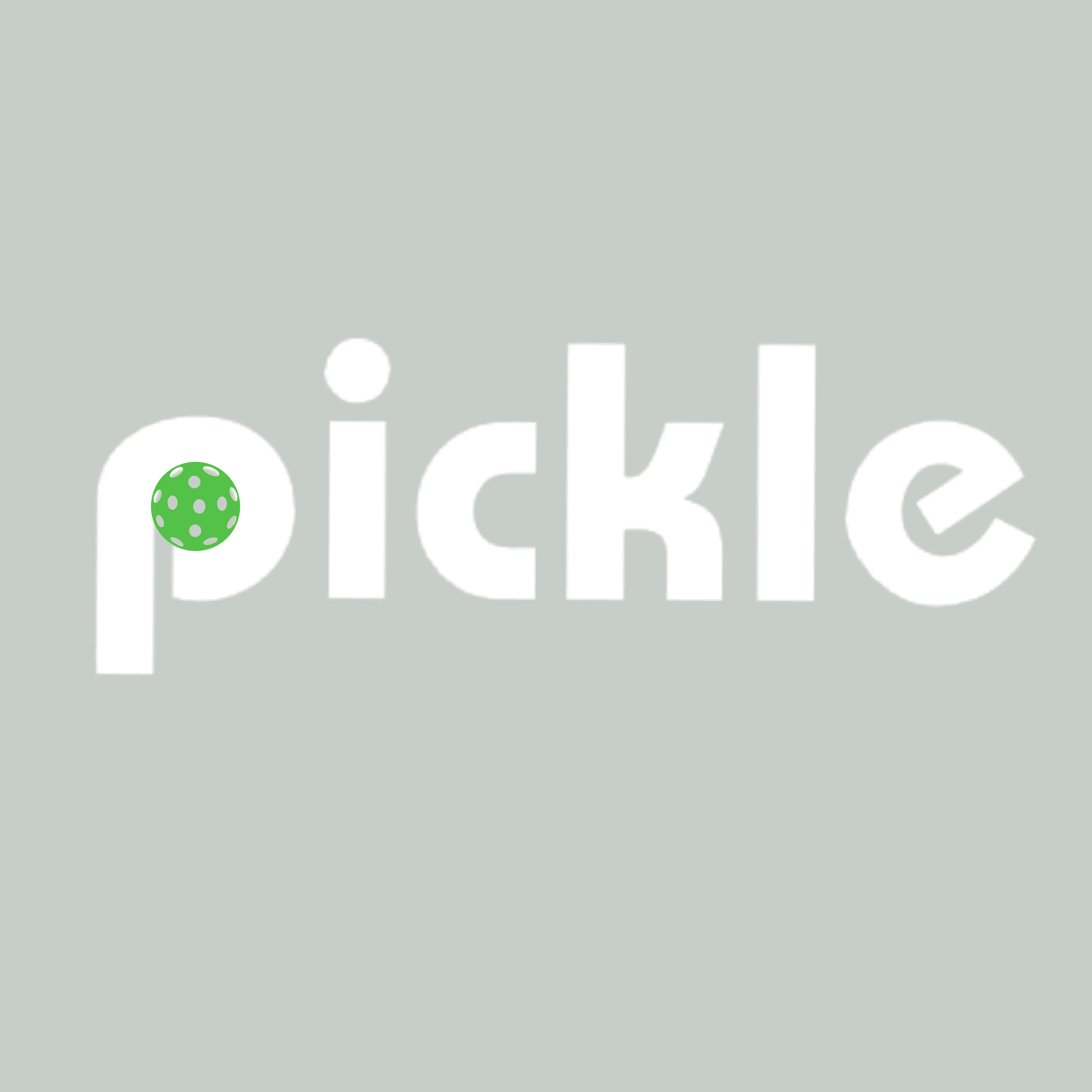 Pickle (Customizable) | Women's Long Sleeve V-Neck Pickleball Shirts | 100% Polyester